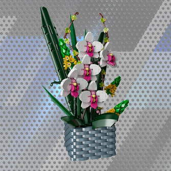 Virágok és növények